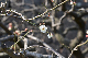 image0196
