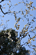 image0201