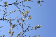 image0202