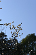 image0203