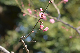 image0207