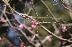 image0212