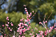 image0214