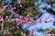 image0216