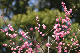 image0218