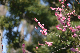 image0219