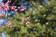 image0220