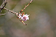 image0222
