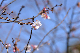 image0224