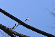 image0226