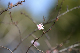 image0227
