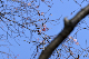 image0228