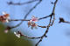 image0229