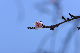 image0230