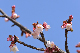 image0231
