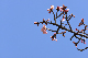 image0233