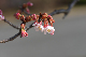 image0234