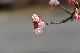 image0235