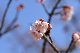 image0236