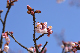 image0237
