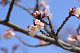 image0238