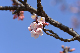 image0241