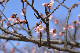 image0243
