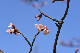 image0244