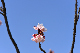 image0245