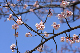 image0246