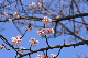 image0247
