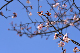 image0248