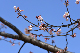 image0249