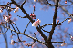 image0253