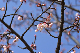 image0254