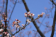 image0255