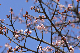 image0257
