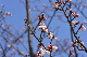 image0258