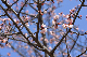 image0259