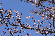 image0260