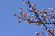 image0261