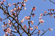 image0262
