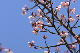 image0263