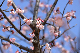 image0265