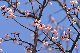 image0266