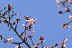 image0267