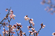 image0268
