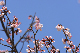 image0269
