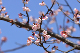 image0270