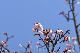 image0271